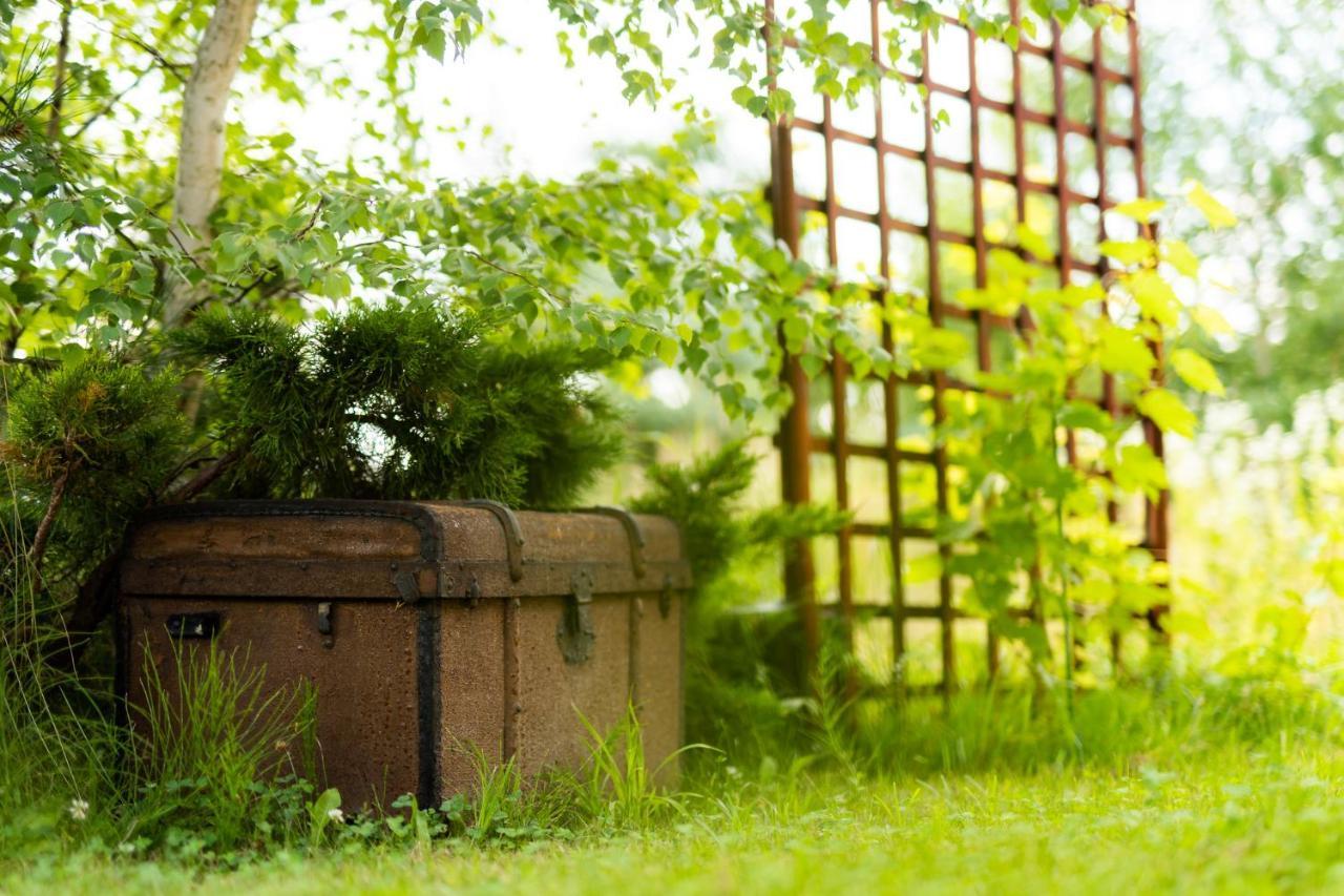 Spa Love Home Sauna Jacuzzi Romantyczny Dom Dla Pary Z Prywatnym Spa Zielona Góra Eksteriør billede